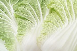 調味料の製造販売で定評のある会社
