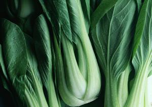 業務用厨房機器選びの極意!経営者必見のコスト削減と効率化のポイント解説